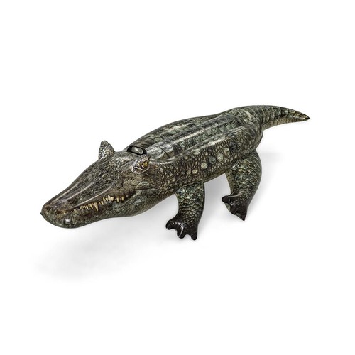 Schwimmtier reptile krokodil - reptile,