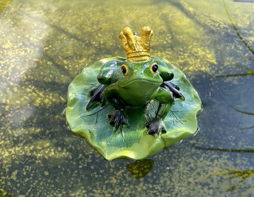 Schwimmtier frosch teichfigur - frosch,