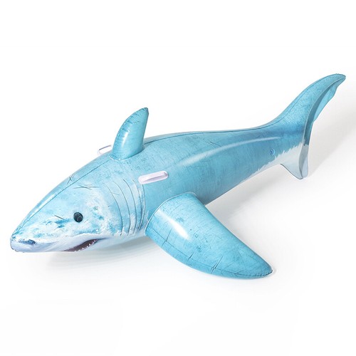 Schwimmtier hai shark - hai, |