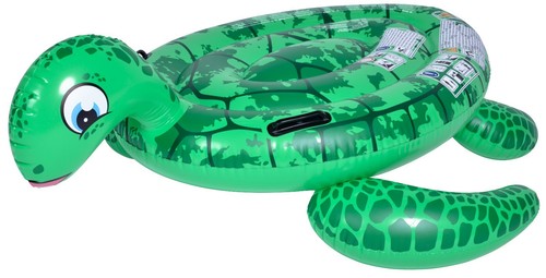Schildkröte schwimmtier - schildkröte, ca